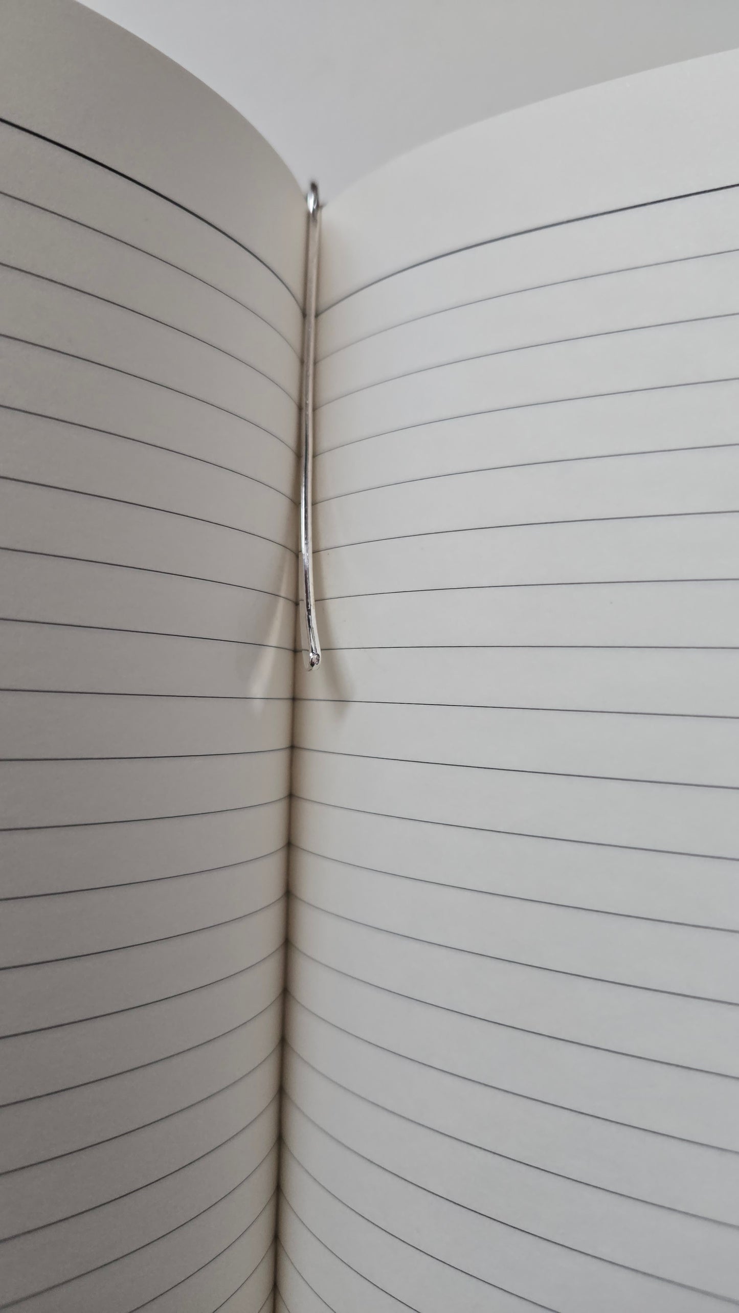 Bluey Bookmark