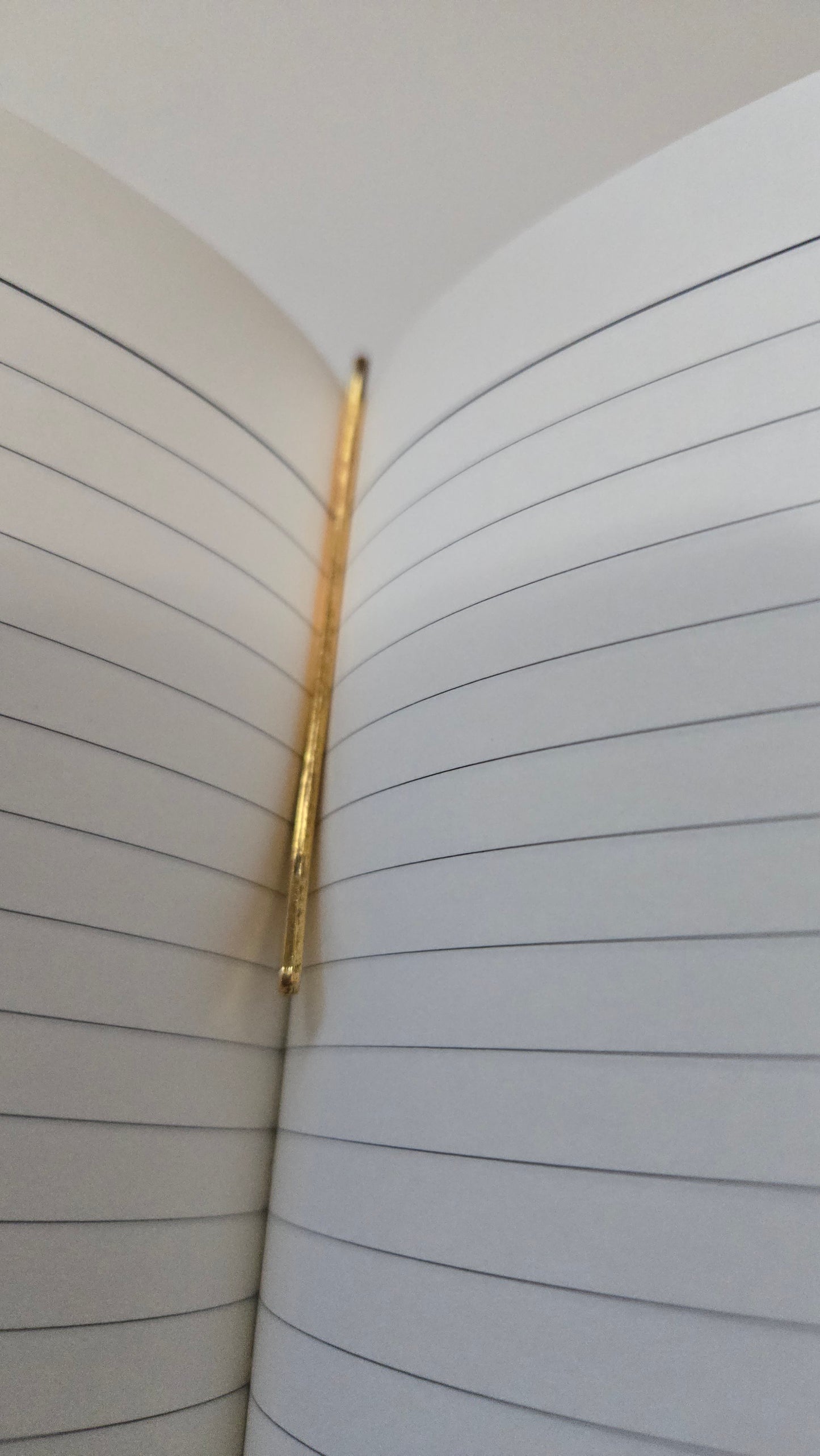 Bluey Bookmark