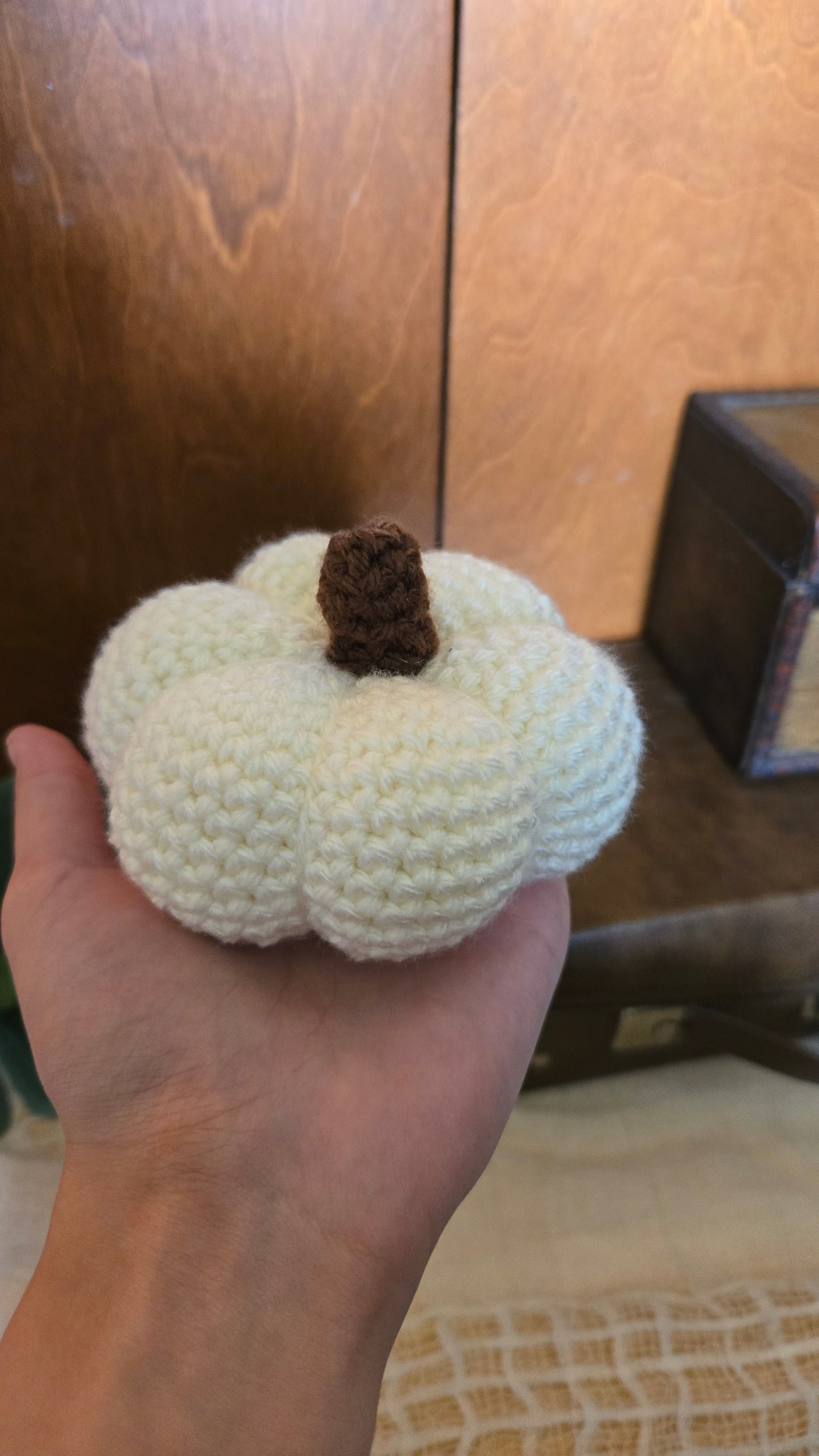 Made To Order Ivory Crochet Pumpkin